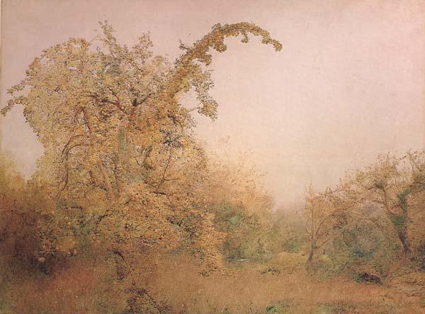 John William North,ARA,RWS The Old Pear Tree (mk46) oil painting image